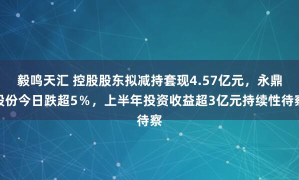 毅鸣天汇 控股股东拟减持套现4.57亿元，永鼎股份今日跌超5％，上半年投资收益超3亿元持续性待察