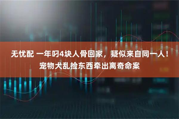 无忧配 一年叼4块人骨回家，疑似来自同一人！宠物犬乱捡东西牵出离奇命案