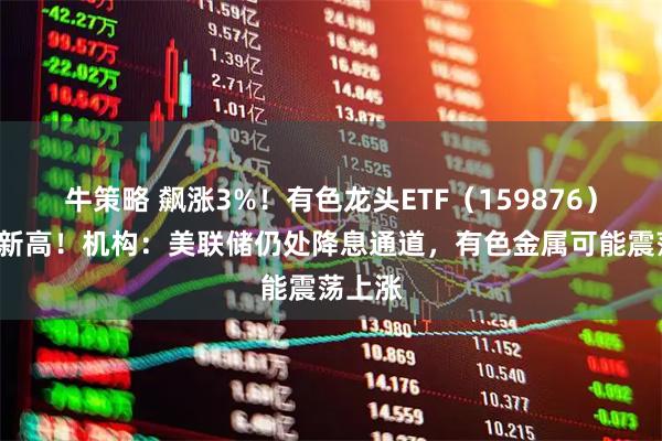 牛策略 飙涨3%！有色龙头ETF（159876）创4年新高！机构：美联储仍处降息通道，有色金属可能震荡上涨
