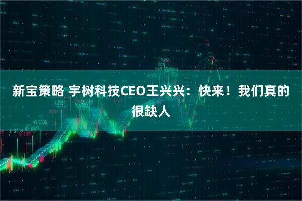 新宝策略 宇树科技CEO王兴兴：快来！我们真的很缺人