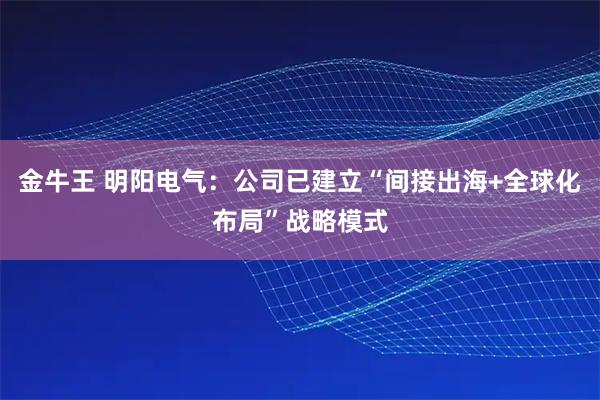 金牛王 明阳电气：公司已建立“间接出海+全球化布局”战略模式