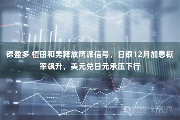 锦盈多 植田和男释放鹰派信号，日银12月加息概率飙升，美元兑日元承压下行
