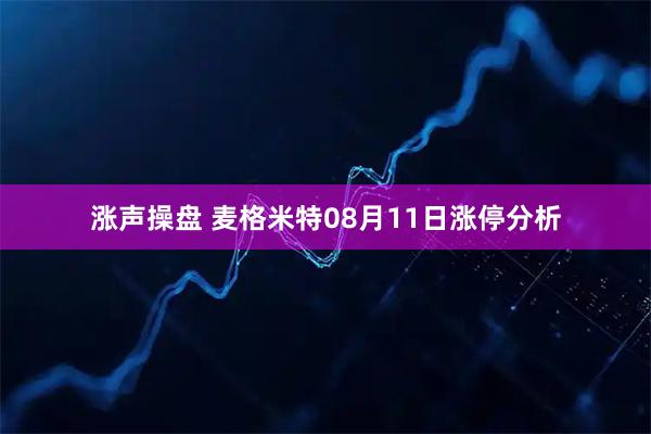 涨声操盘 麦格米特08月11日涨停分析